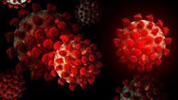 شناسایی دو نوع متفاوت از ویروس کرونا در آمریکا/ گ