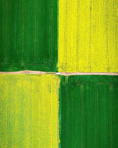 Spectacular drone shot from a agricultural farm