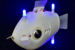 محققان هاروارد "ربات ماهی" با قابلیت شنای گروهی س