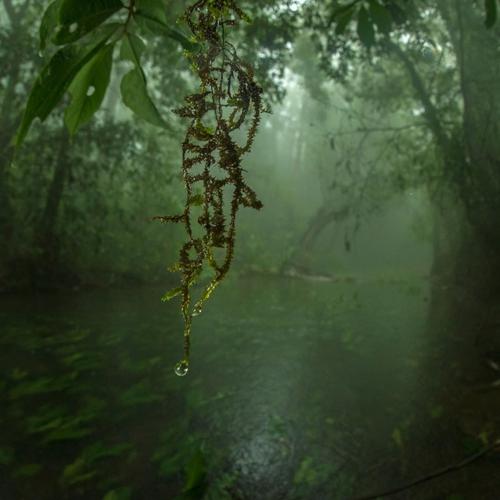 Photo by Prasenjeet Yadav prasenyadav  The mist i