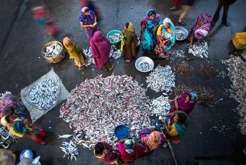 Photo by deeptiasthana  The fishing market in Diu