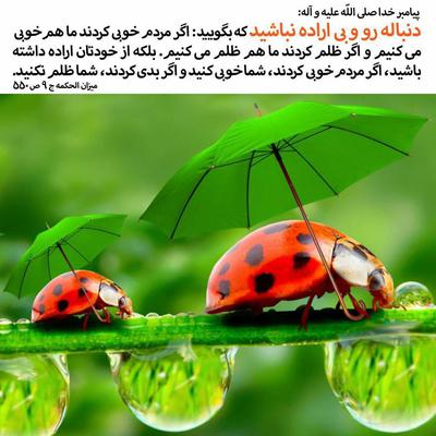 پیامبر_مهربانی  دنباله رو و بی اراده نباشید که بگ