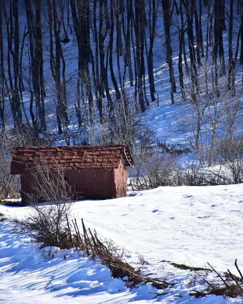  طبیعت زمستانی سوادکوه  سوادکوه شهری زیبا و سرسبز