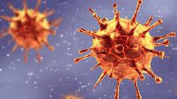 سازمان جهانی بهداشت: ویروس جهش یافته کرونا در ۷۰ 