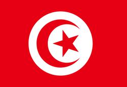 شهید سلیمانی بین مردم تونس جایگاه والایی دارد/ من