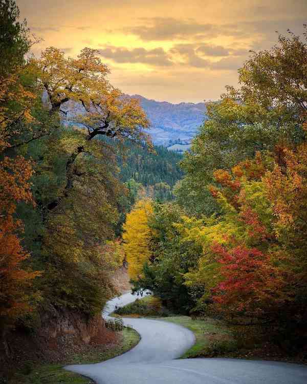 Magical Autumn Road   ‎خیابان جادویی پاییز   ‎‏Ir