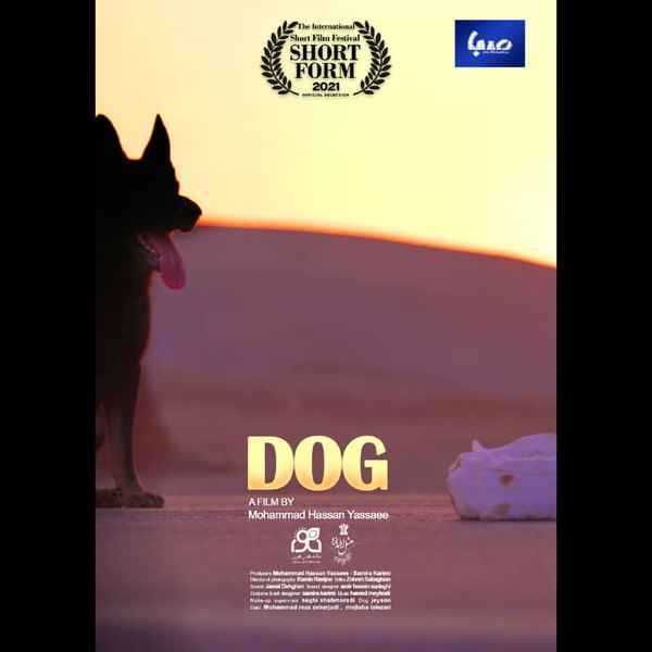  فیلم کوتاه سگ در جشنواره shortform شورت فرم صربس