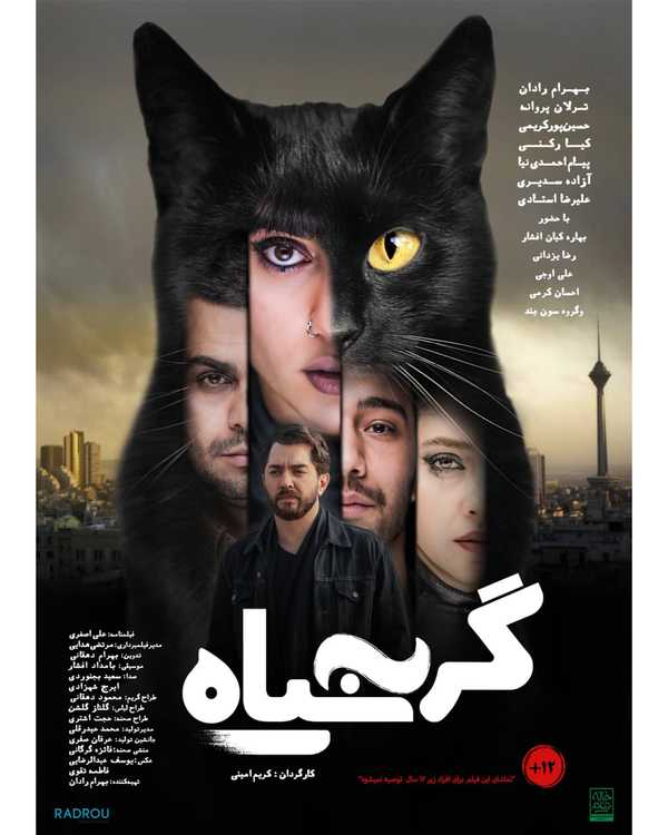 رونمایی از پوستر فیلم گربه سیاه ۳ روز تا اکران سر