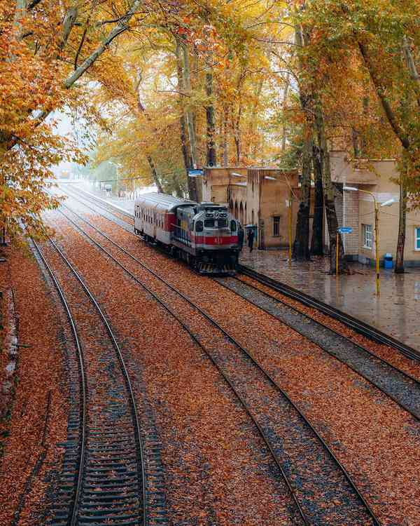 Autumn Leaves on The Beautiful Station of Bisheh 