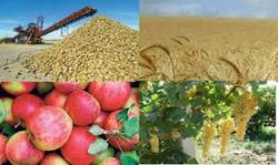 اختصاص ارز ۴۲۰۰ تومانی کالاهای مشمول کشاورزی در د