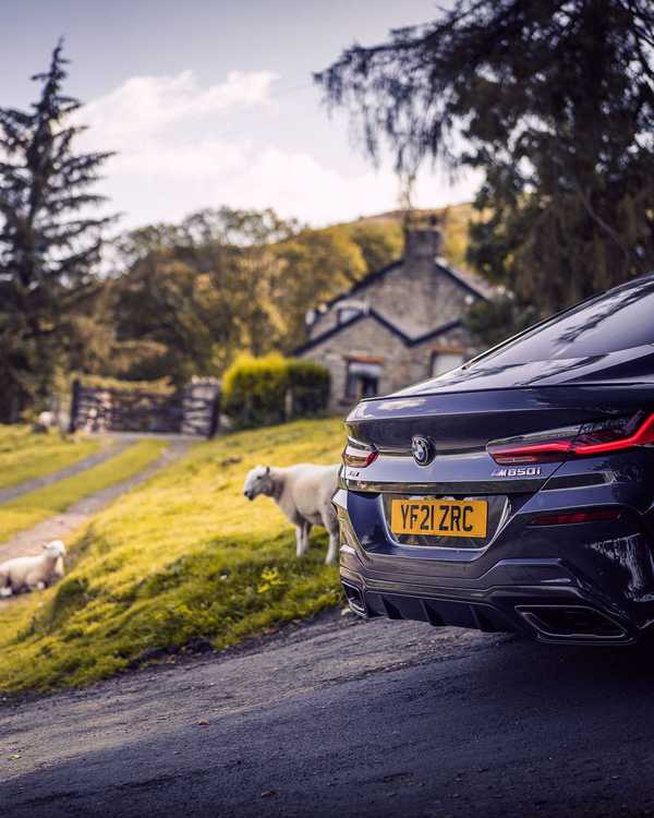 Call us a bit of a party animal  The BMW 8 Series