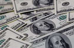 افزایش ریسک گریزی مانع از رشد شاخص دلار