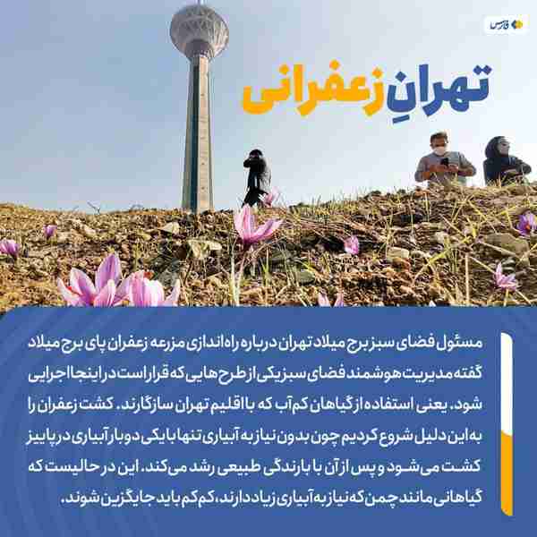 ‌ مسئول فضای سبز برج_میلاد تهران درباره راه‌انداز