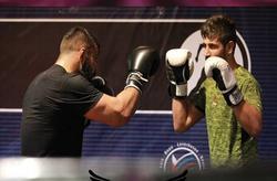 پیروزی قلی‌پور در MMA با ناک‌اوت حریف  حمیدرضا قل