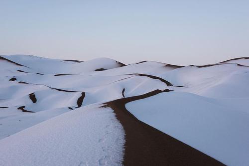 A Rare moment of Nature When Desert meets the Sno