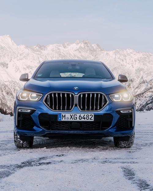 Will you climb to the top with me The BMW X6 TheX
