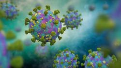 شناسایی ۷ گونه جدید ویروس کرونا در آمریکا