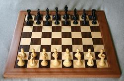 مسابقات آنلاین شطرنج دانشجویان برگزار شد