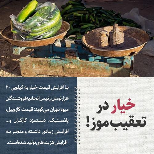 ‌ در پی افزایش قیمت خیار در مراکز عرضه تهران به ک