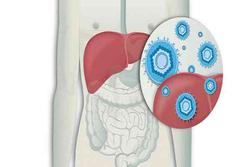 نحوه سرایت علایم و نشانه‌های هپاتیت