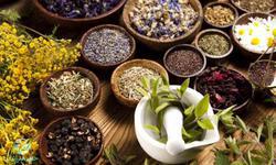 گیاهان دارویی | آشنایی با خواص بهترین گیاهان دارو
