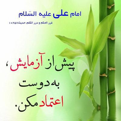 ⚠️ پیش از آزمایش به دوست اعتماد مکن❗️  امام_علی_ع