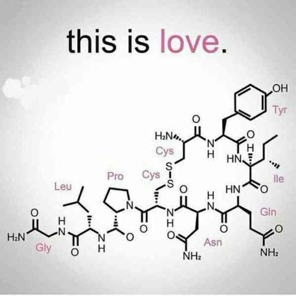 ☯فرمول شیمیایی عشق  مولکول نOxytocin مسئول ایجاد 