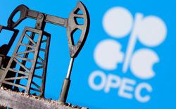 تصویب عدم افزایش تولید نفت در نشست وزیران اوپک پل