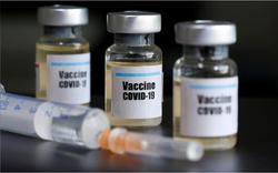 اقدامات انجام شده برای تولید انواع واکسن‌ها در کش