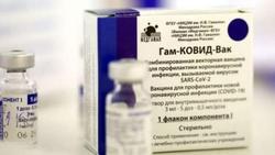 محموله جدید واکسن روسی وارد ایران شد  بنابر اعلام