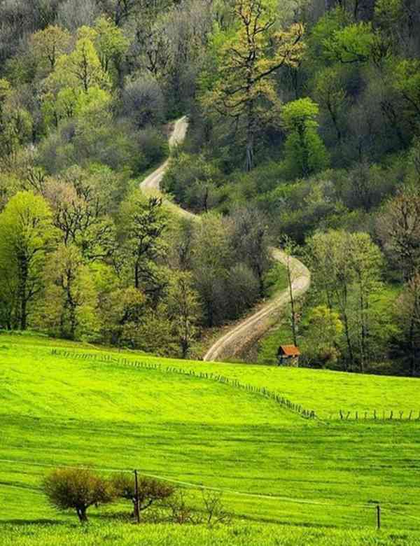 استان مازندران  ساری  چهار دانگه    