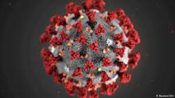 آیا کرونا واقعا ویروسی زمستانی است؟  آیا این فرضی