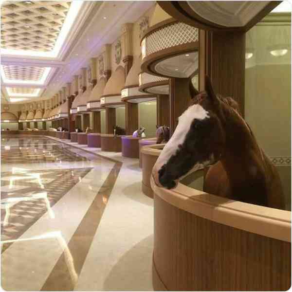 لوکس ترین اصطبل اسب جهان در دبی   