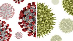 چگونه تب یونجه و ویروس کرونا را از هم تشخیص دهیم