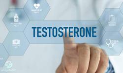 تستوسترون | علائم کمبود تستوسترون و درمان‌های خان