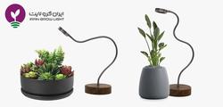 به جای خورشید لامپ رشد گیاه را برای گیاهانتان به 