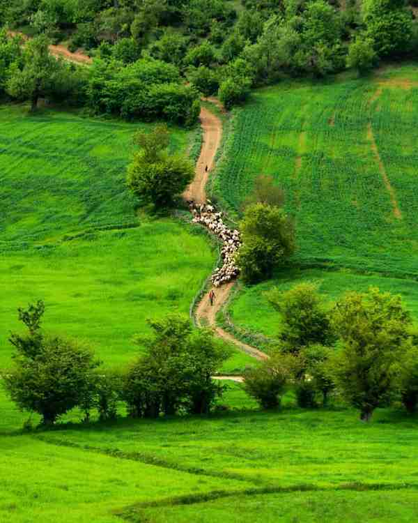  طبیعت زیبای چهار دانگه  چهاردانگه در جنوب شهرستا