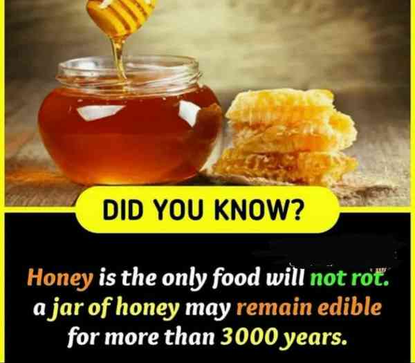 تنها ماده غذایی که فاسد یا خراب نمیشود عسل است اگ