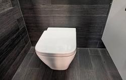 توالت هوشمند و کنترل سلامت روده با استفاده از هوش