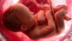 چهار نشانه علمی هنگام بارداری برای تشخیص جنسیت جن