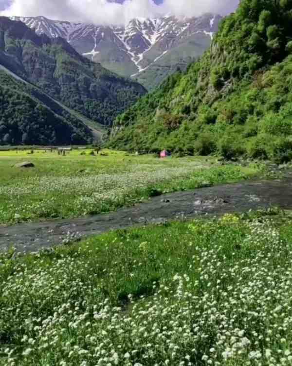  بهشتی بنام دریاسر _ مازندران  دشتی پر از گل جنگل