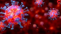 واکنش چین به خاطر متهم شدن به انتشار ویروس کرونا