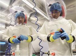 محقق چینی ارشد آزمایشگاه ووهان، نشت ویروس کرونا ر