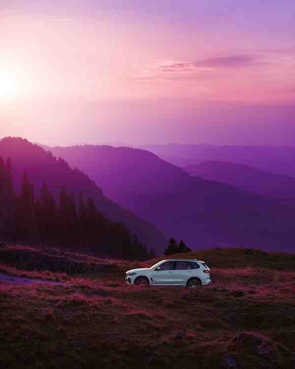 Above the tree line The BMW X5 TheX5 BMW X5  اینس