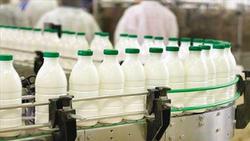 جزئیات افزایش قیمت شیر خام/ محصولات لبنی چقدر گرا