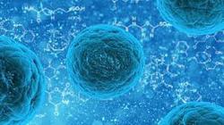 استفاده از سلول‌های بنیادی برای تعدیل سیستم ایمنی