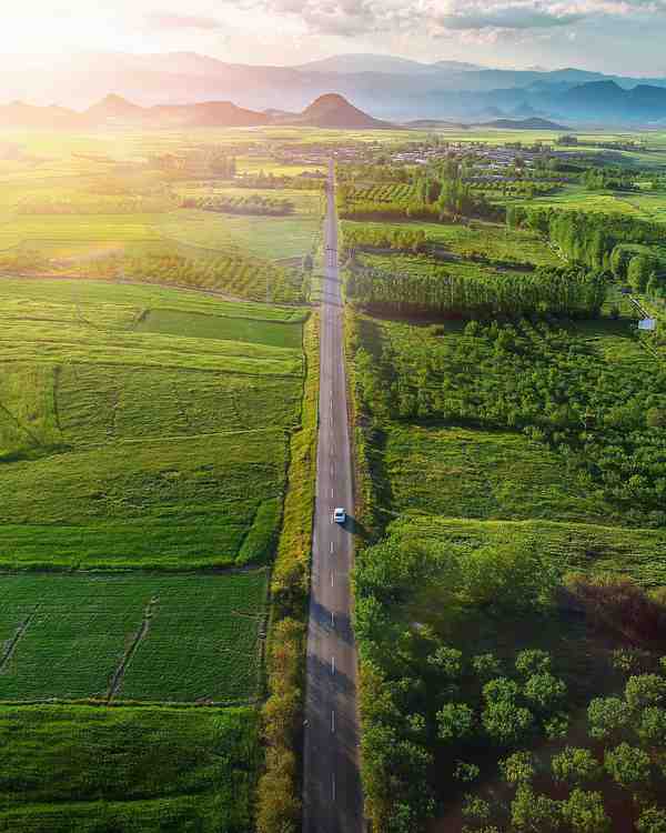 Magnificent View of an Endless Green Road   نمایی