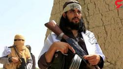 طالبان عفو عمومی صادر کرد/ بازگشت کارمندان زن افغ
