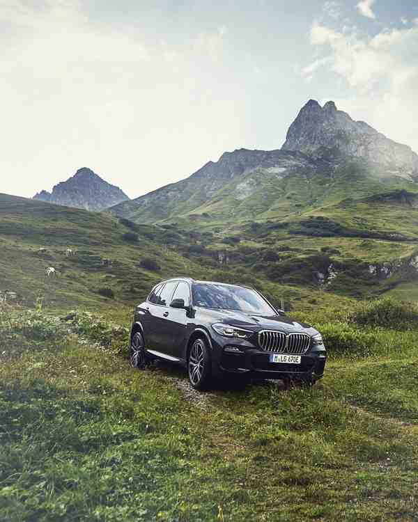 Make it a drive on the wild side  The BMW X5  The