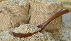 آغاز خرید و فروش برنج در بورس / امکان خریداری حدا